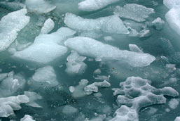 Pieces of melted iceberg