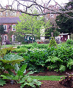Chelsea Physic Garden