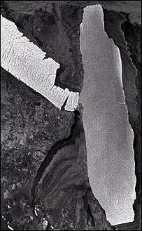 انٹارکٹیکا