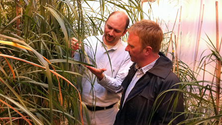 Professor Iain Donnison and Adam Walton