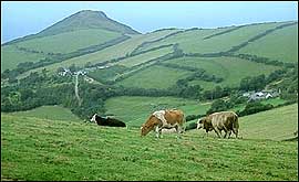 Valley looking towards Combe Martin 