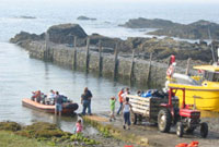 Ymwelwyr yn glanio ar Ynys Enlli