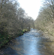 Image of a river