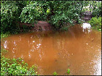 The main pond at Mickleover Meadows