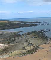 The coastline near Howick, Northumberland