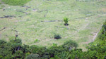 Deforestation in Brazil's Para state