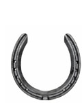 horseshoe