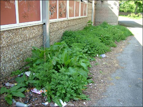 Breathing Places site 2008