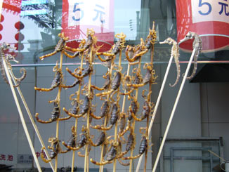 More scorpions and some seahorses on skewers.