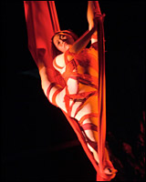 Spider Woman in 'Monkey'