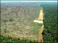 Amazon'da ormansızlaşma