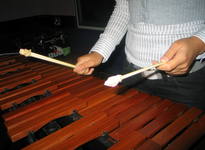 Zena Xylophone close up