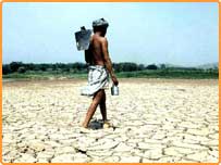 راجستھان کے ایک کسان کو سوکھے کا سامنا