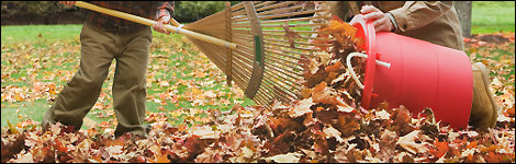 Rake those leaves