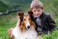 Lassie