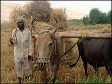 کندوز