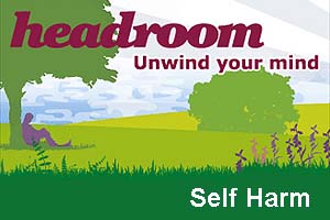 Logo for Headroom Campaign