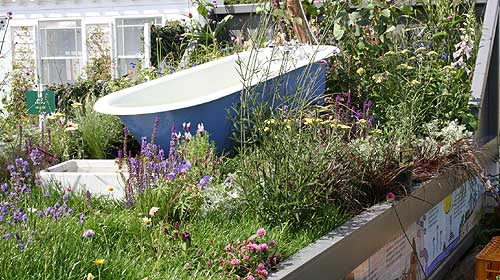 Wildlife Garden in a Skip