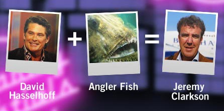 David plus fish equals Clarkson