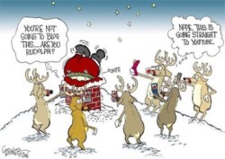 Reindeer blogging....