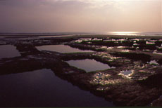 The medieval peat diggings at Tywyn