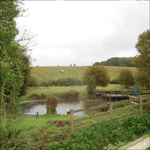 The ponds in Guisborough Forest