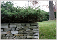 Dry Stone Wall