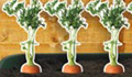 Harvest your carrots