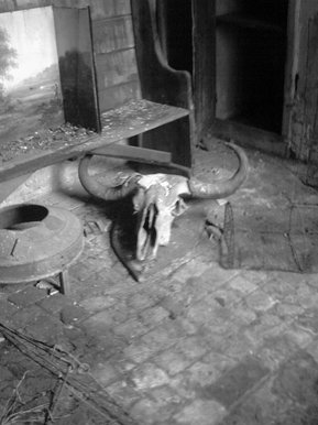 The skull in the corner