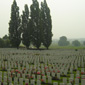 The mass grave site