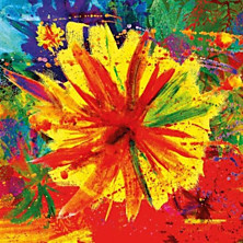 Review of Katang Review of Katang