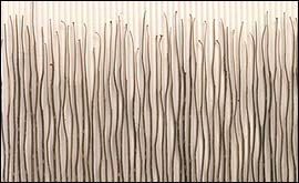 Gerald Giamportone - Detail from Untitled no 2. Courtesy and copyright the artist.