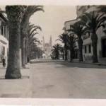 Palm lined street in Tripoli