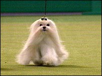 Divines Marc Of Friendship At Delcost