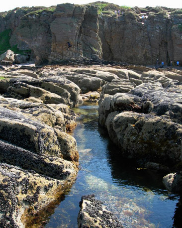 Climbers on sea cliffs
