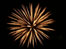 Firework. Photo: Bill Temporal