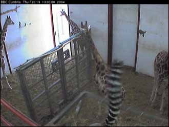 Screen grab Monday 6 Oct 2003