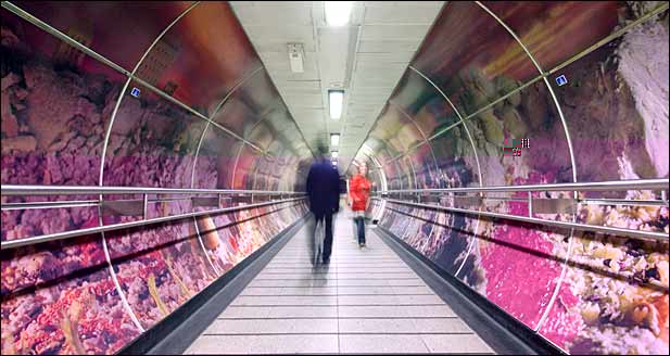 Art from a London station by Gayle Chong Kwan
