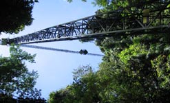 The Daintree rainforest canopy crane