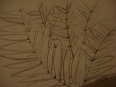 Sketched leaves