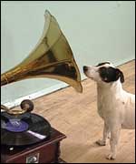 Dave the dog in front of a gramophone