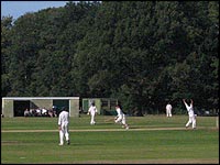 Wellington cricket club