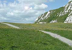 Samphire Hoe