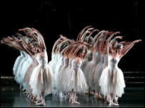 Swan Lake. Photo Joham Persson