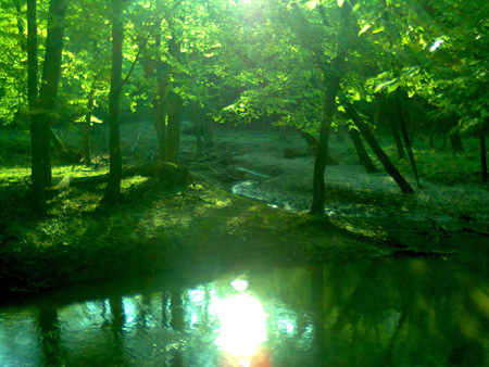 countryside in Transdanubia region of Hungary