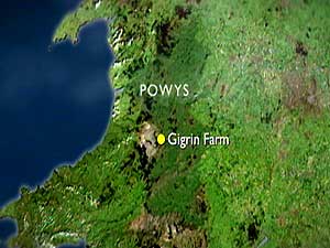 Gigrin Farm map