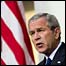 جورج بوش