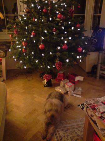 advent921a.JPG