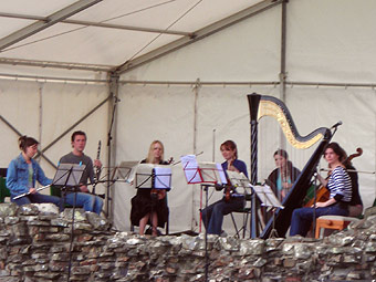 Y delynores Catrin Finch a grwp offerynnol o ffrindiau yn ei chefnogi