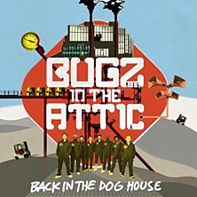 Review of Back In The Dog House
